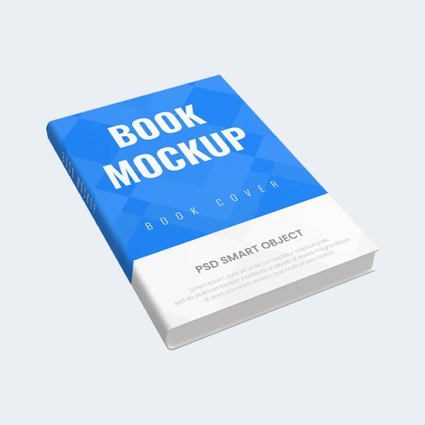 Full Stack Developer Training: Job-Ready - Image 2